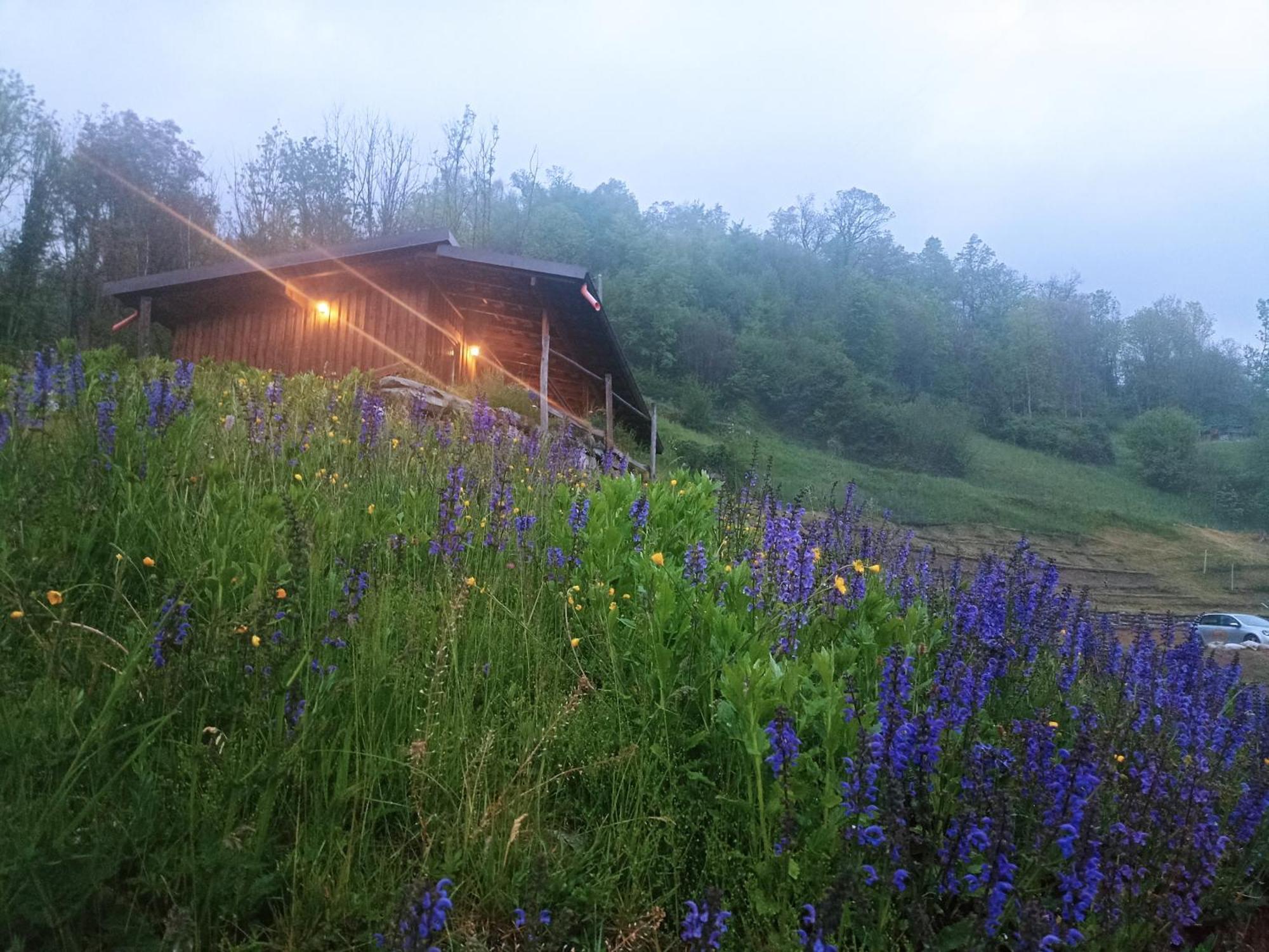 Agriturismo Cascina Cornella Cremeno Eksteriør bilde