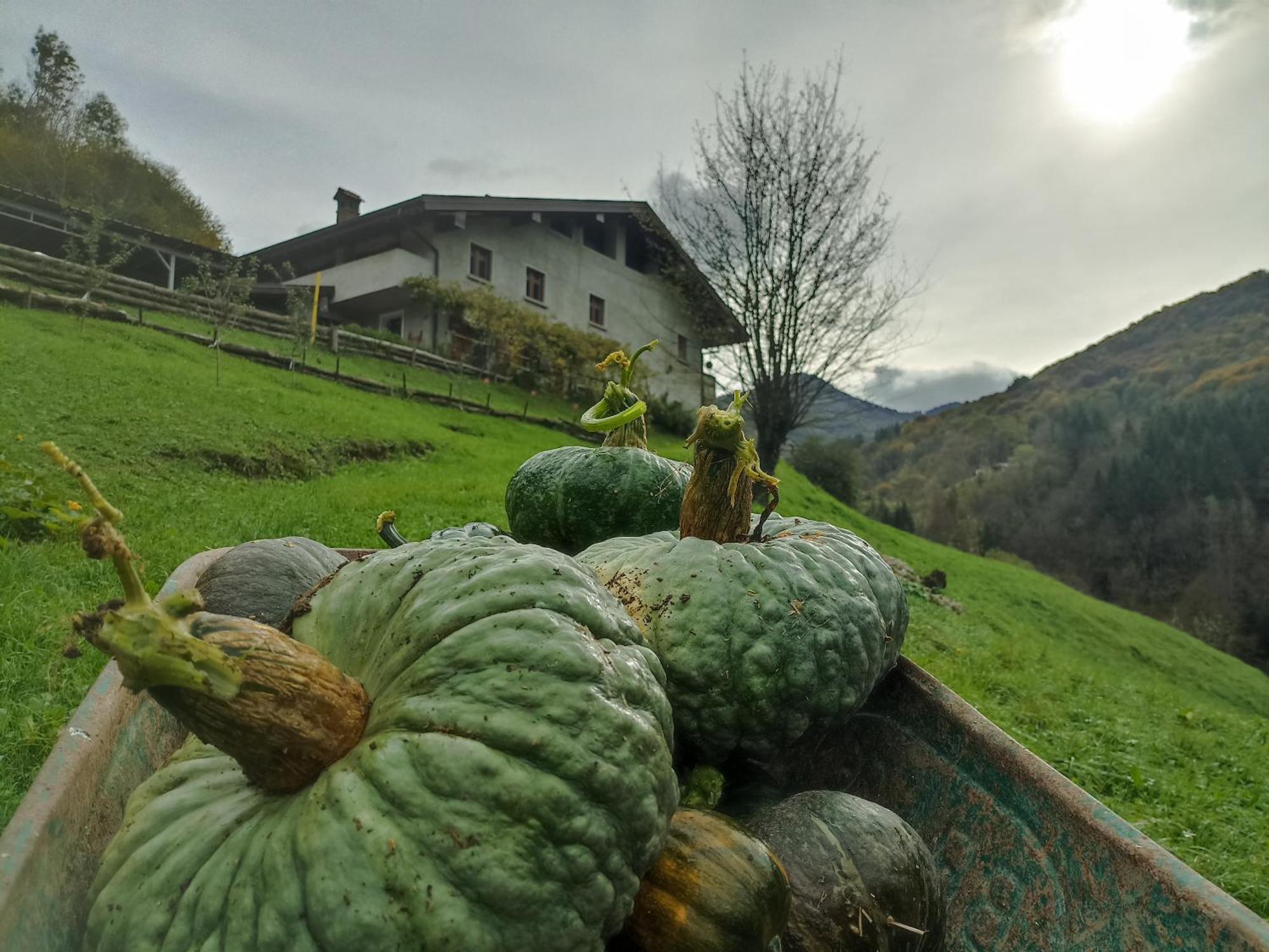 Agriturismo Cascina Cornella Cremeno Eksteriør bilde