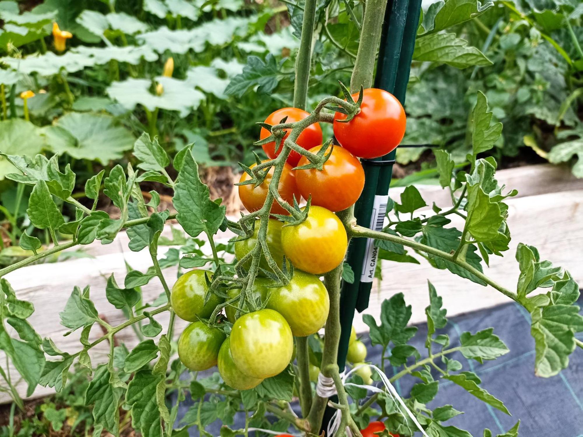 Agriturismo Cascina Cornella Cremeno Eksteriør bilde