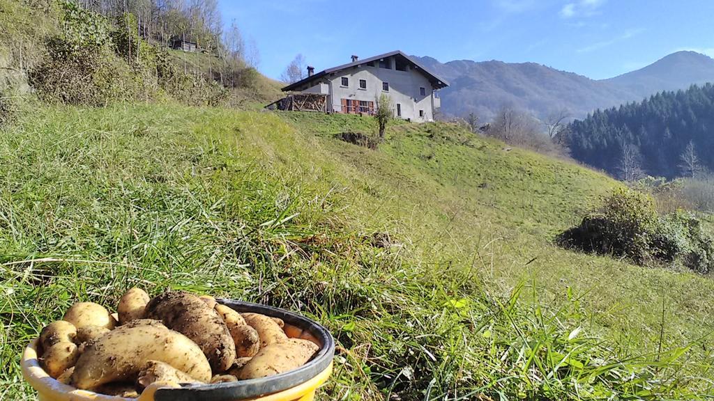 Agriturismo Cascina Cornella Cremeno Eksteriør bilde