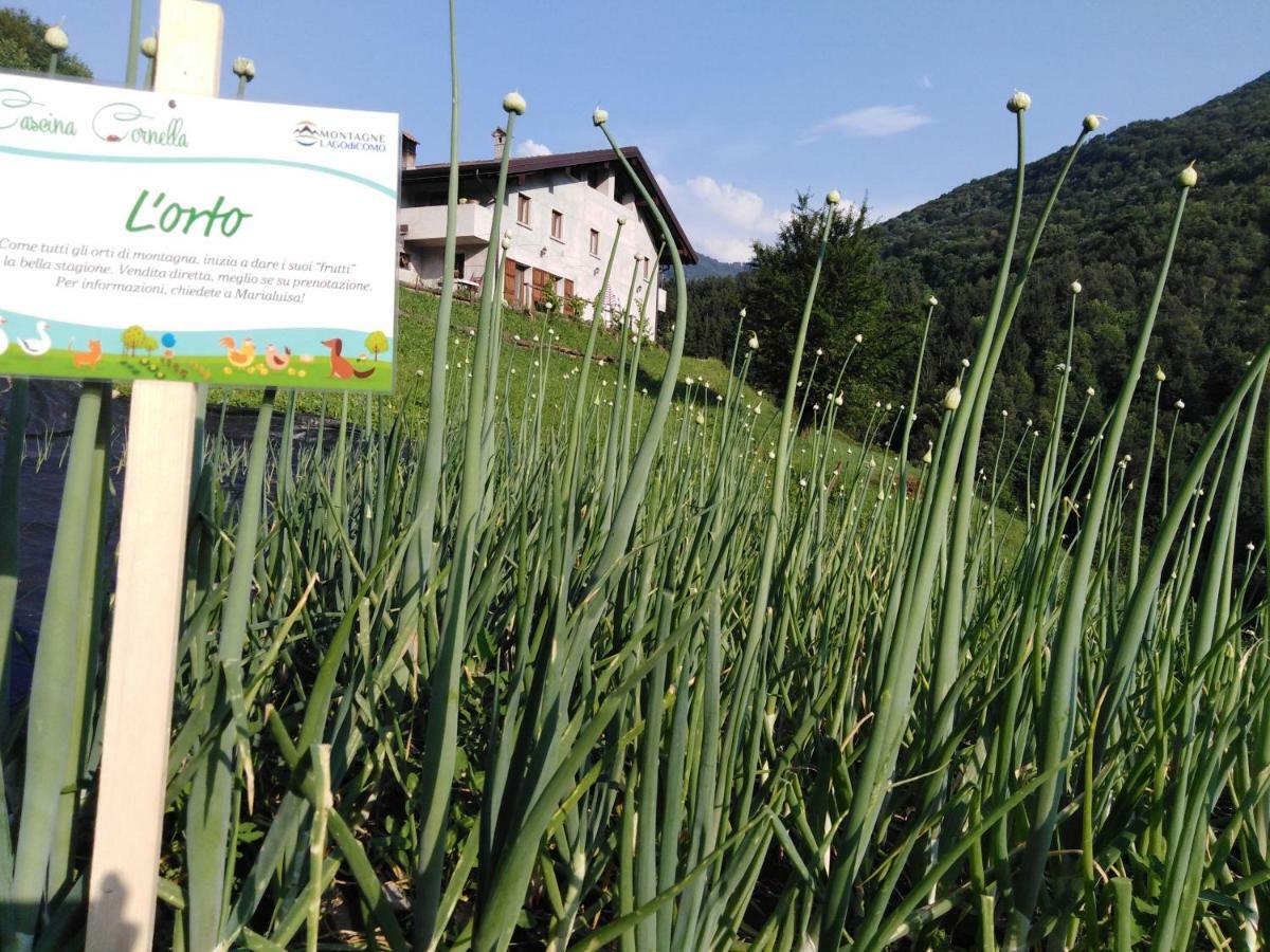Agriturismo Cascina Cornella Cremeno Eksteriør bilde
